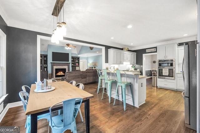 704 Branchview Ct, Mcdonough, GA 30252 - kitchen featuring appliances with stainless steel finishes, a fireplace, a peninsula, a ceiling fan, and ornamental molding