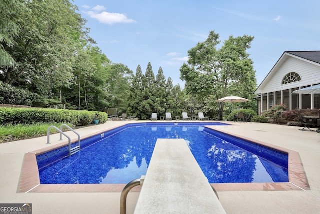 704 Branchview Ct, Mcdonough, GA 30252 - view of swimming pool featuring a patio, a diving board, and view of wooded area