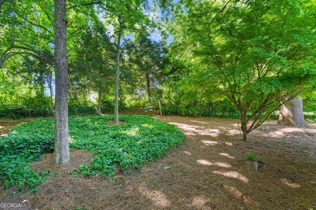 5 Windsor Ter, Avondale Estates, GA 30002 - view of yard