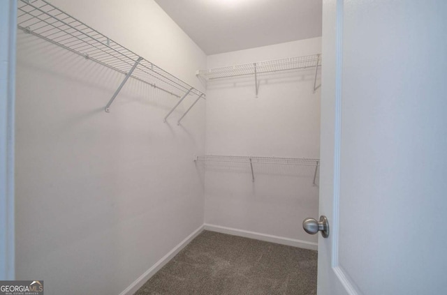 26 Ivey Meadow Dr, Dallas, GA 30132 - spacious closet with carpet flooring