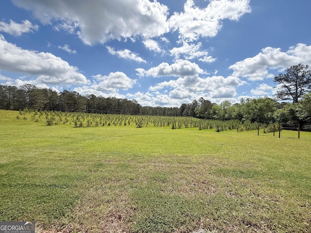 712 Boy Scout Rd, Newnan, GA 30263 - view of grassy yard with a view of countryside