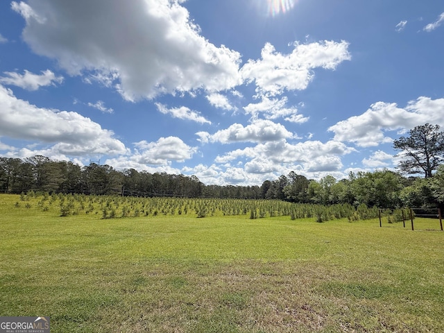 712 Boy Scout Rd, Newnan, GA 30263 - view of green lawn with a rural view