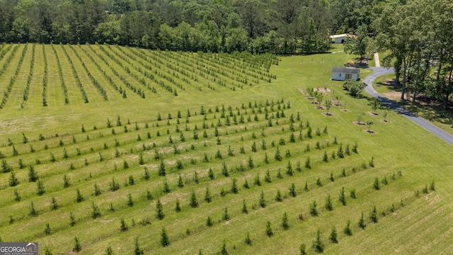 712 Boy Scout Rd, Newnan, GA 30263 - aerial view of sparsely populated area featuring extensive farmland