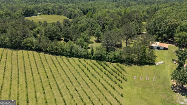 712 Boy Scout Rd, Newnan, GA 30263 - aerial view of sparsely populated area featuring a forest