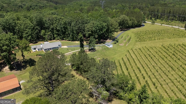 712 Boy Scout Rd, Newnan, GA 30263 - aerial view of sparsely populated area featuring farmland and a heavily wooded area