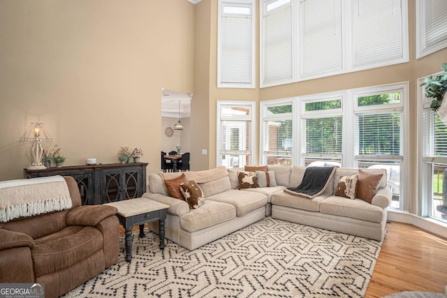 395 Grove Ridge Dr, Loganville, GA 30052 - living room with wood finished floors and a high ceiling