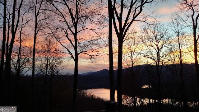 1289 Rainwater Trl, Tiger, GA 30576 - water view with mountains