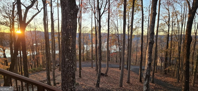 1289 Rainwater Trl, Tiger, GA 30576 - water view