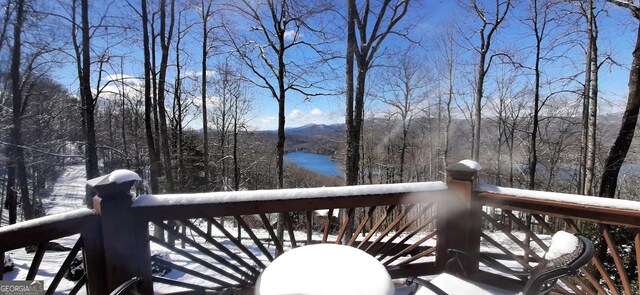 1289 Rainwater Trl, Tiger, GA 30576 - view of snow covered deck