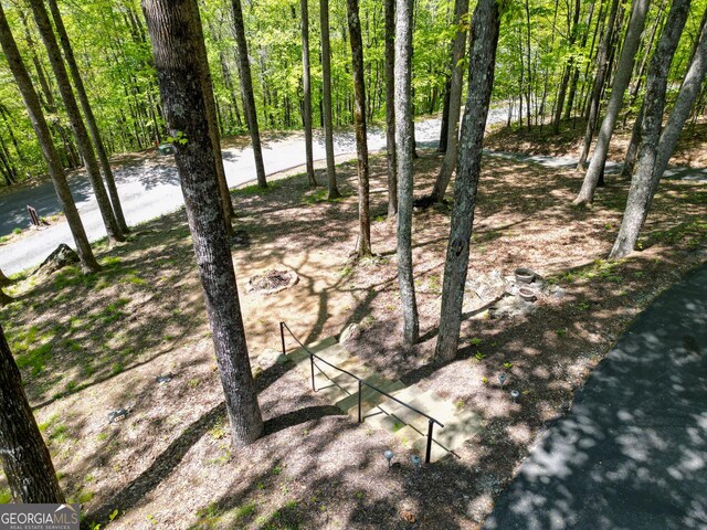 1289 Rainwater Trl, Tiger, GA 30576 - view of yard featuring a view of trees