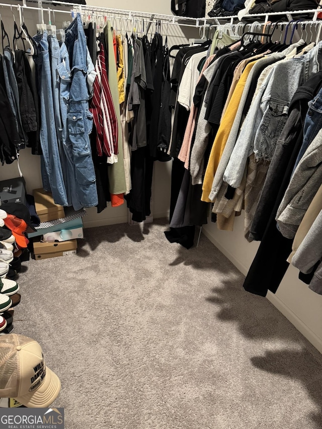 536 Magnolia Cir Unit 116, Palmetto, GA 30268 - spacious closet featuring carpet