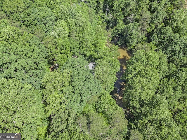 74 Charity Ln, Clayton, GA 30525 - drone / aerial view of a forest