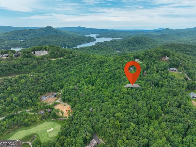 177 Whitetail Trl, Clayton, GA 30525 - view of property location with a water and mountain view and a forest