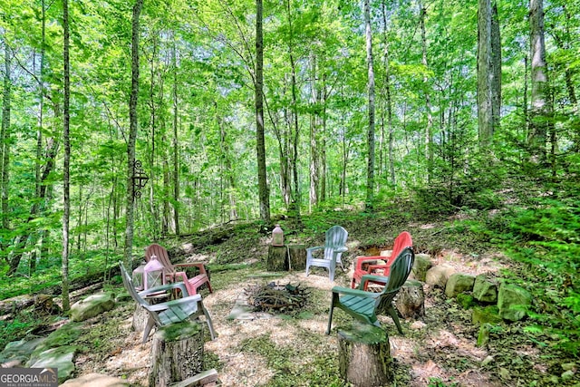 177 Whitetail Trl, Clayton, GA 30525 - view of yard featuring a forest view
