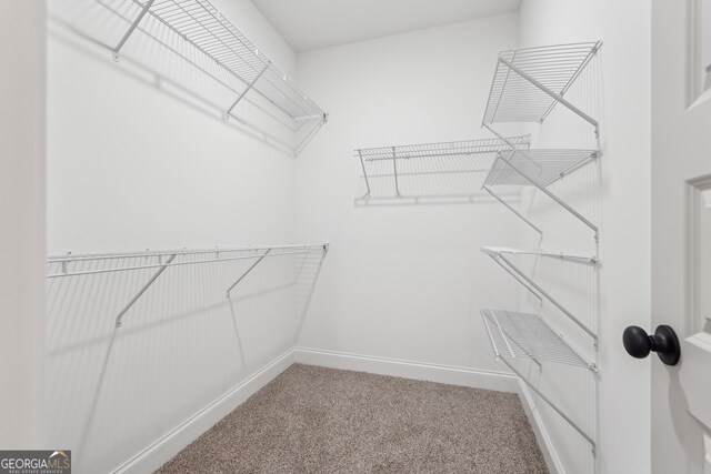 2279 Lakeview Pkwy, Villa Rica, GA 30180 - spacious closet with carpet floors