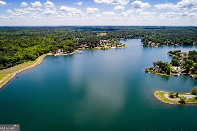 2279 Lakeview Pkwy, Villa Rica, GA 30180 - bird's eye view of a forest and a nearby body of water