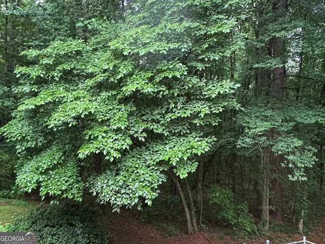 161 Cedar Cove Dr, Buckhead, GA 30625 - view of wooded area
