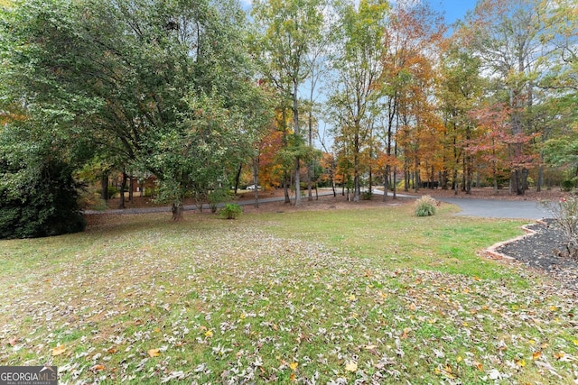 231 Doug Allison Hts, Cleveland, GA 30528 - view of yard
