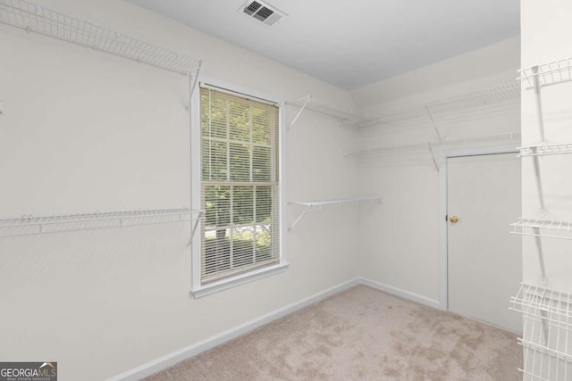 85 Arabian Ave, Alpharetta, GA 30004 - walk in closet featuring carpet floors