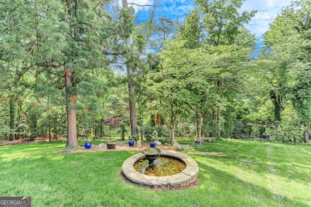 1685 Valley Rd NE, Gainesville, GA 30501 - view of green lawn featuring a view of trees