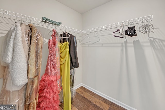 1431 Beckett Dr, Hampton, GA 30228 - spacious closet featuring wood finished floors