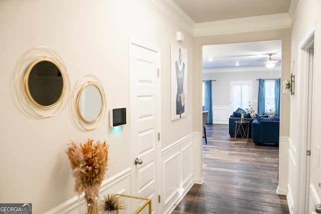 1431 Beckett Dr, Hampton, GA 30228 - hallway with a decorative wall, ornamental molding, a wainscoted wall, and dark wood-type flooring