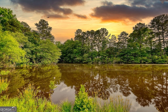 1226 Hull Rd, Athens, GA 30601 - water view with a heavily wooded area