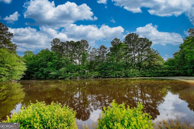 1226 Hull Rd, Athens, GA 30601 - water view featuring a heavily wooded area