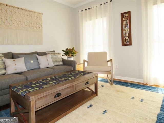21 Devin Ln, Euharlee, GA 30145 - living area featuring baseboards and wood finished floors