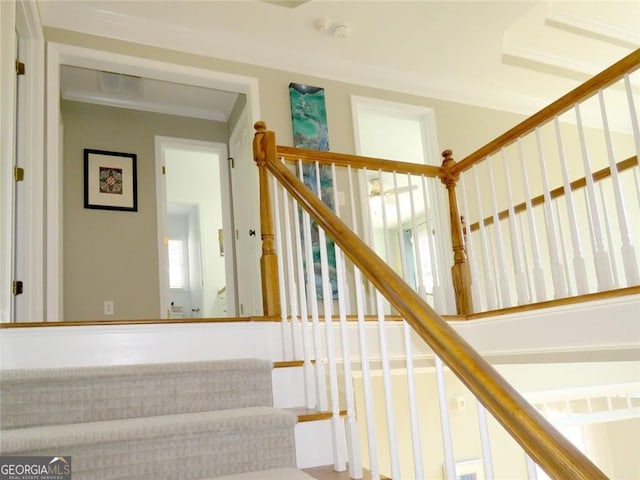 21 Devin Ln, Euharlee, GA 30145 - view of stairs