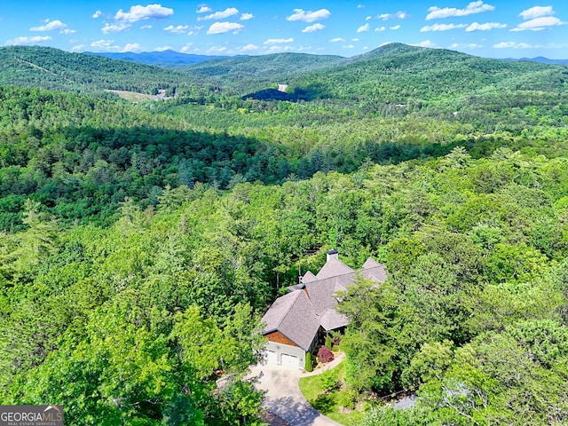 421 Hickory Nut Mountain Rd, Tallulah Falls, GA 30573 - view of subject property featuring a heavily wooded area and a mountainous background