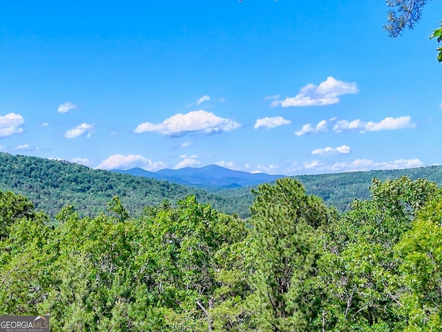 421 Hickory Nut Mountain Rd, Tallulah Falls, GA 30573 - view of mountain backdrop featuring a forest