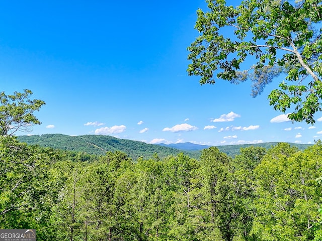 421 Hickory Nut Mountain Rd, Tallulah Falls, GA 30573 - view of mountain backdrop with a forest
