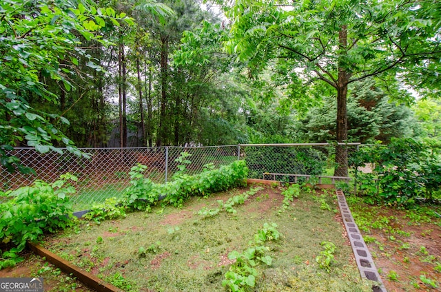 2120 Shaffer Rd, Cumming, GA 30041 - view of yard