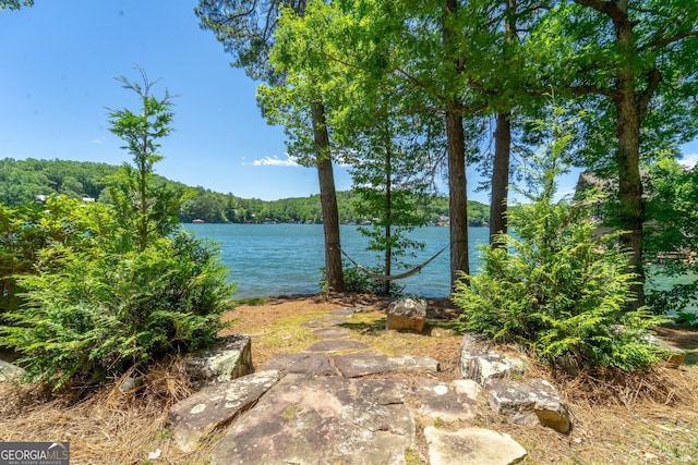 4334 Murray Cove Rd, Tiger, GA 30576 - water view