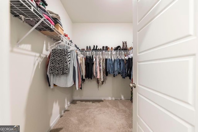 115 Taylor Woods Ct, Bonaire, GA 31005 - spacious closet with carpet floors