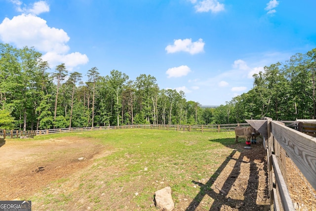 294 Turkey Trl, Jasper, GA 30143 - view of grassy yard with a view of countryside and a wooded view