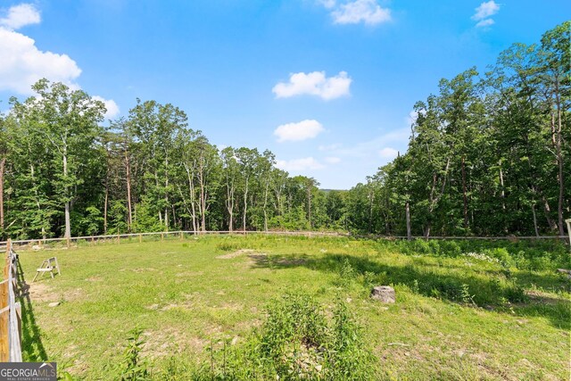 294 Turkey Trl, Jasper, GA 30143 - view of yard with a wooded view