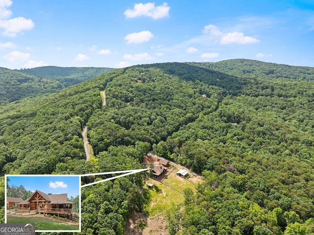 294 Turkey Trl, Jasper, GA 30143 - view of subject property featuring a forest, property boundaries highlighted, and a mountainous background