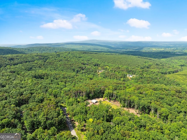 294 Turkey Trl, Jasper, GA 30143 - bird's eye view of a forest