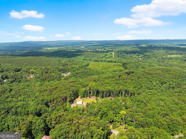 294 Turkey Trl, Jasper, GA 30143 - bird's eye view of a heavily wooded area