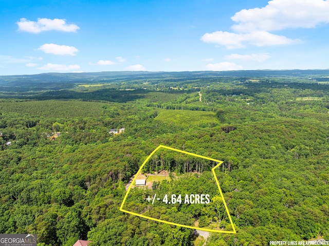 294 Turkey Trl, Jasper, GA 30143 - view of property location with a heavily wooded area and property parcel outlined