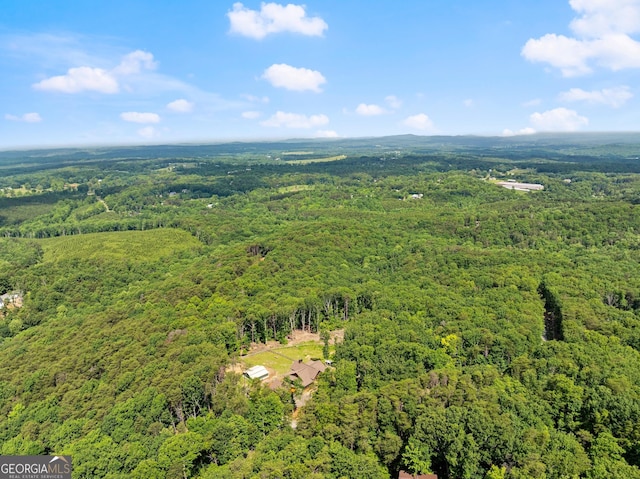 294 Turkey Trl, Jasper, GA 30143 - bird's eye view of a forest