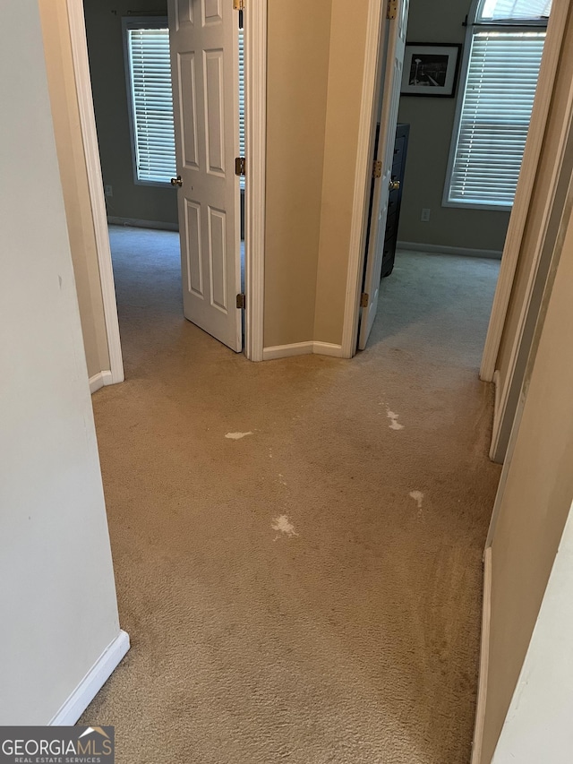 11657 Flemming Ct, Hampton, GA 30228 - hallway featuring carpet flooring and baseboards