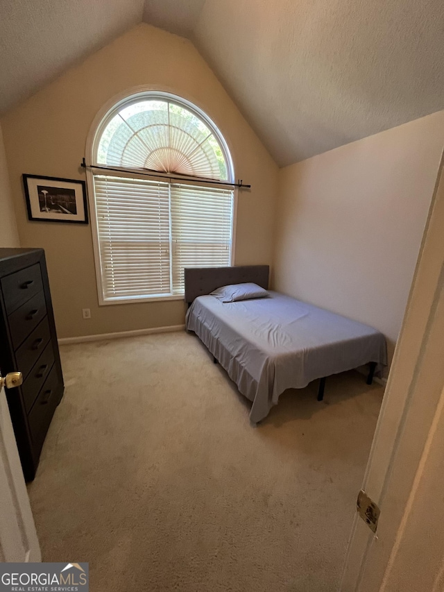 11657 Flemming Ct, Hampton, GA 30228 - bedroom featuring vaulted ceiling, light carpet, and a textured ceiling
