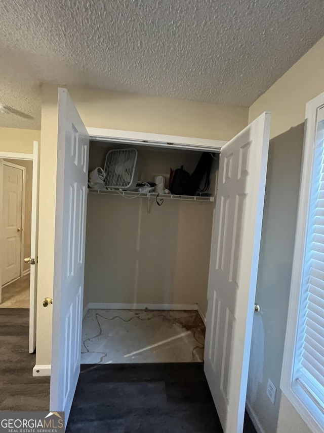 11657 Flemming Ct, Hampton, GA 30228 - view of closet