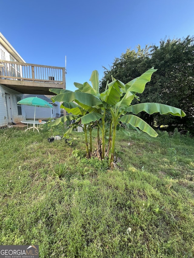 11657 Flemming Ct, Hampton, GA 30228 - view of yard featuring a wooden deck