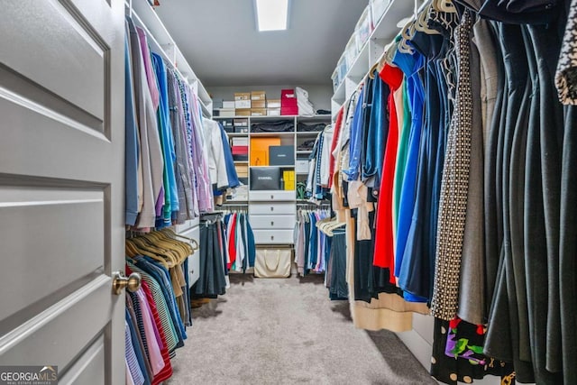 2603 Apple Valley Rd NE, Atlanta, GA 30319 - walk in closet featuring carpet floors