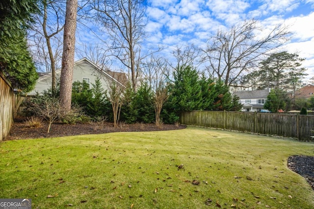 2603 Apple Valley Rd NE, Atlanta, GA 30319 - view of yard