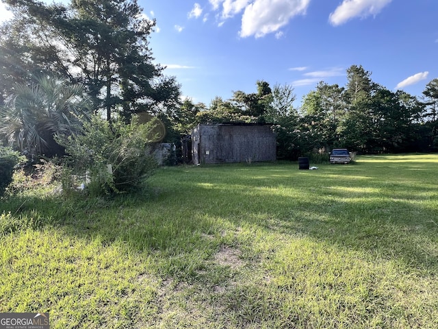 542 Southern Pines Rd, Dublin, GA 31021 - view of green lawn